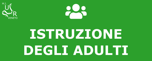 Istruzione degli adulti