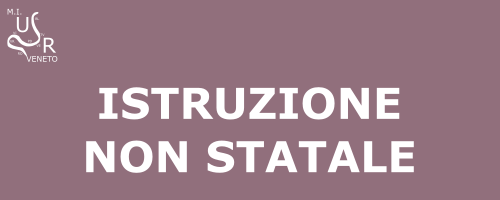 Istruzione non Statale